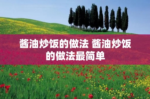 酱油炒饭的做法 酱油炒饭的做法最简单 酱油炒饭的做法 酱油炒饭的做法最简单