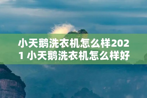 小天鹅洗衣机怎么样2021 小天鹅洗衣机怎么样好不好