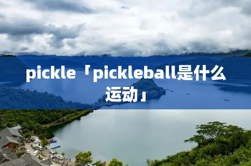 pickle「pickleball是什么运动」