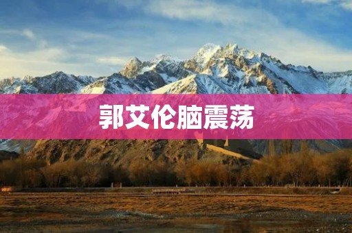 郭艾伦脑震荡：一位勇敢的篮球战士