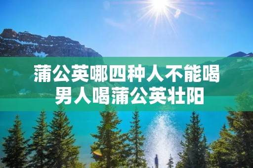蒲公英哪四种人不能喝 男人喝蒲公英壮阳