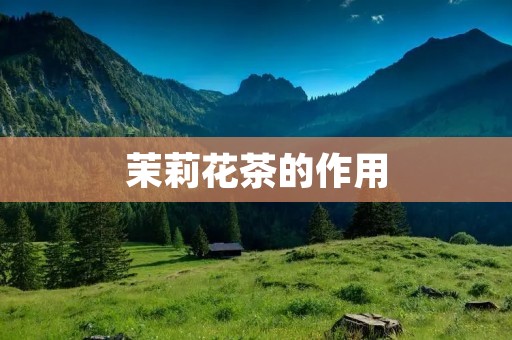 茉莉花茶的作用:美容养颜、消除疲劳、促进睡眠、清热解毒、抗氧化