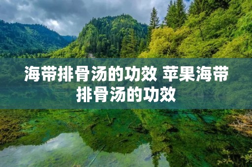 海带排骨汤的功效 苹果海带排骨汤的功效
