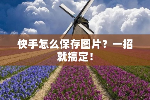 快手怎么保存图片?一招就搞定!