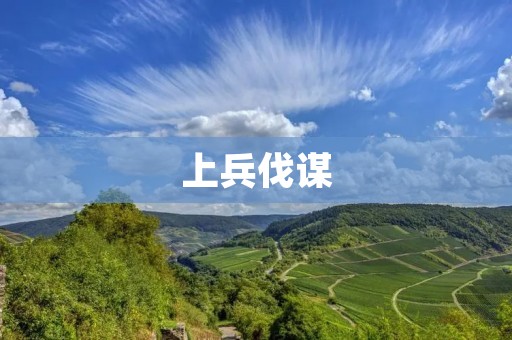 上兵伐谋：胜战之道在于谋略与智慧