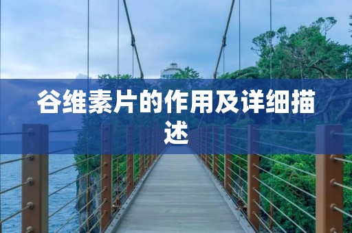 谷维素片的作用及详细描述