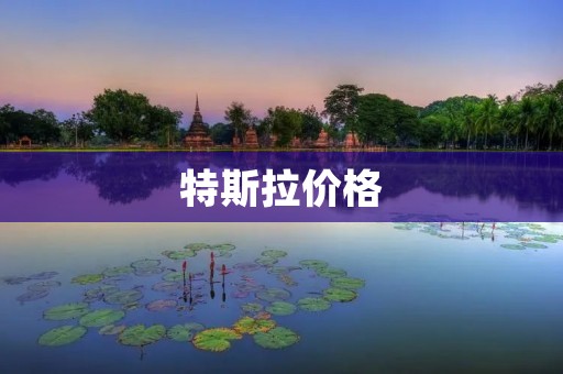 特斯拉价格：电动汽车市场的新一轮竞争