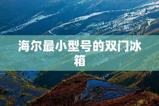 海尔最小型号的双门冰箱：小巧精致，为您提供高效冷藏解决方案
