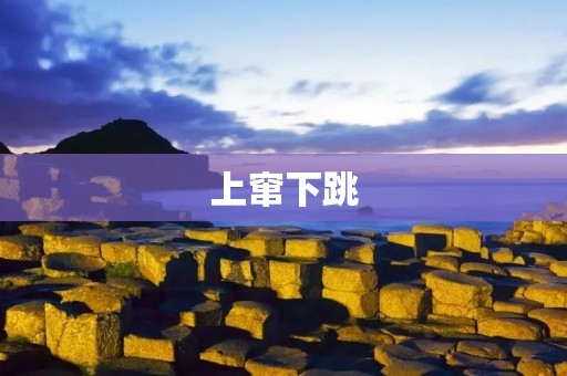 上窜下跳：探寻生命的多样性与活力