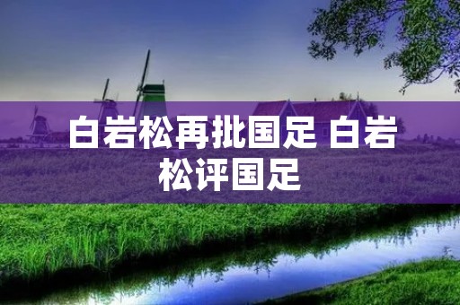 白岩松再批国足 白岩松评国足 白岩松再批国足 白岩松评国足