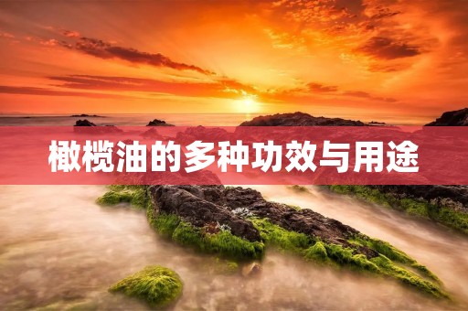 橄榄油的多种功效与用途