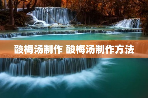 酸梅汤制作 酸梅汤制作方法