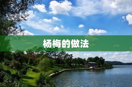 杨梅的做法:让你尽享酸甜滋味的美味佳肴 杨梅的做法:让你尽享酸甜滋味的美味佳肴
