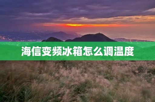 海信变频冰箱怎么调温度