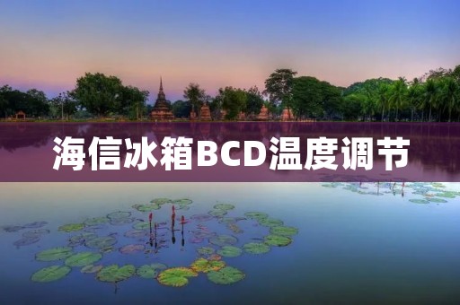 海信冰箱BCD温度调节：让您的食物保鲜更有温度感