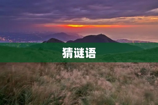 猜谜语:智慧的游戏