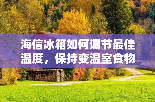 海信冰箱如何调节最佳温度，保持变温室食物新鲜多汁