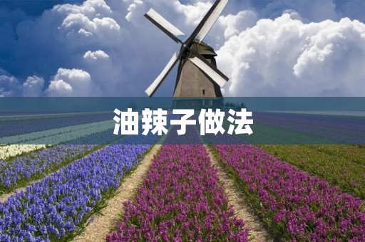 油辣子做法：辣味与香气的完美结合