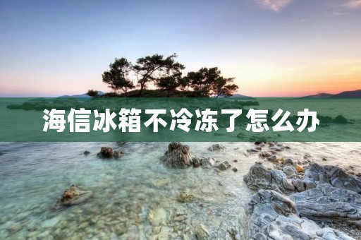 海信冰箱不冷冻了怎么办