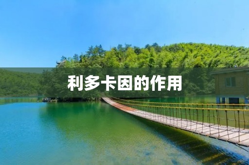 利多卡因的作用