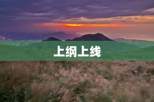 上纲上线：如何正确运用这一修辞手法