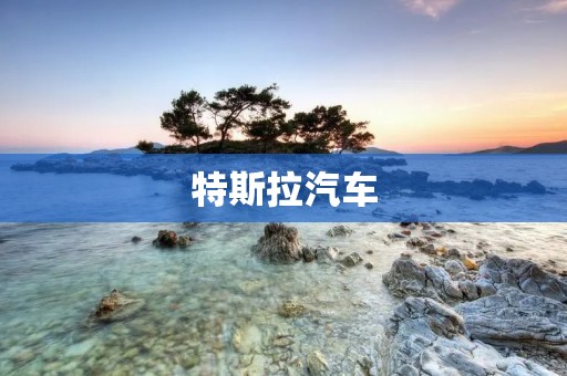特斯拉汽车：引领电动汽车革命的先锋