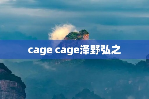 cage cage泽野弘之