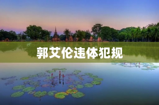 郭艾伦违体犯规：一次争议与讨论的焦点