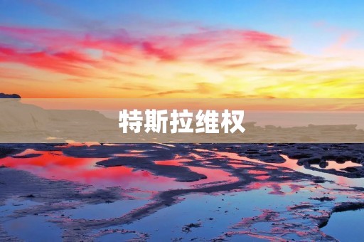 特斯拉**:消费者**的背后故事 特斯拉**:消费者**的背后故事