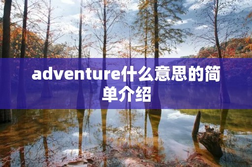 adventure什么意思的简单介绍