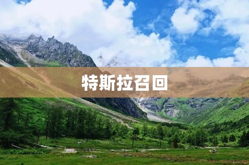 特斯拉召回：电动汽车安全问题不容忽视