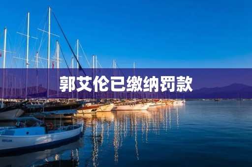 郭艾伦已缴纳罚款：一位球星的道德拷问