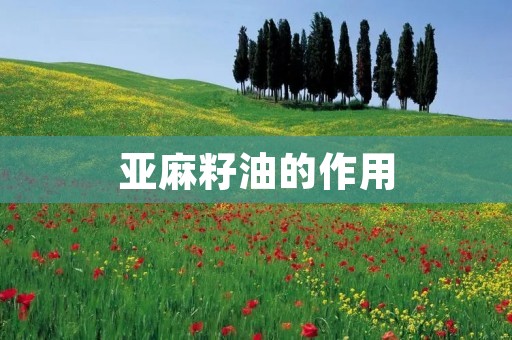 亚麻籽油的作用:全面解析亚麻籽油的功效与用途