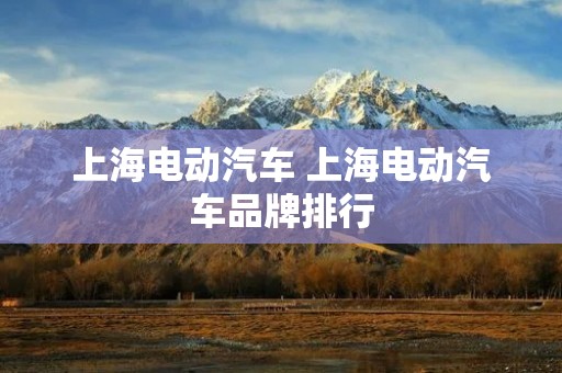 上海电动汽车 上海电动汽车品牌排行