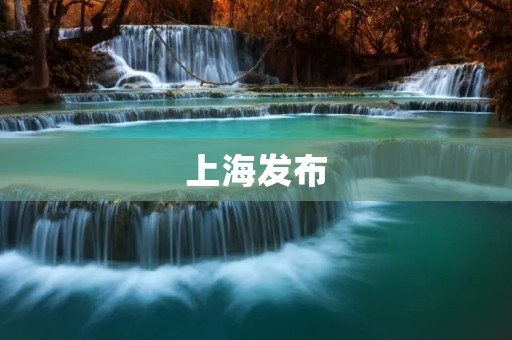 上海发布：探寻城市魅力与未来发展