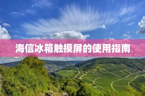 海信冰箱触摸屏的使用指南