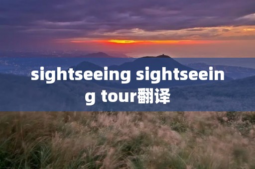 sightseeing sightseeing tour翻译 sightseeing sightseeing tour翻译