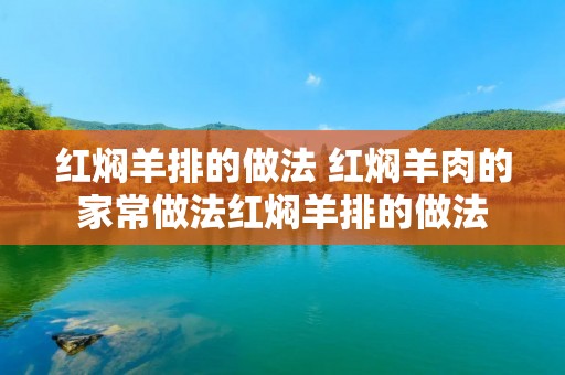 红焖羊排的做法 红焖羊肉的家常做法红焖羊排的做法