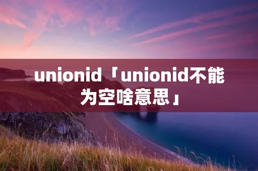 unionid「unionid不能为空啥意思」
