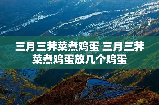 三月三荠菜煮鸡蛋 三月三荠菜煮鸡蛋放几个鸡蛋