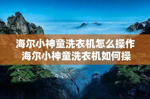 海尔小神童洗衣机怎么操作 海尔小神童洗衣机如何操作