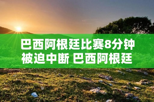巴西阿根廷比赛8分钟被迫中断 巴西阿根廷比赛中断调查结果 巴西阿根廷比赛8分钟被迫中断 巴西阿根廷比赛中断调查结果
