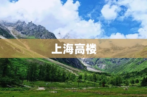 上海高楼：探索这座城市的垂直奇迹