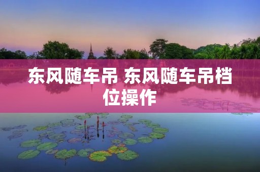 东风随车吊 东风随车吊档位操作 东风随车吊 东风随车吊档位操作