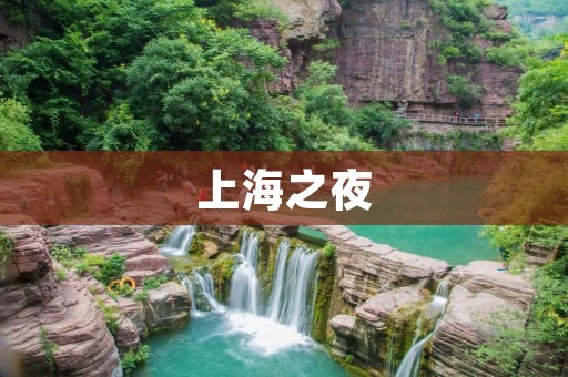 上海之夜：探索夜晚的璀璨与魅力