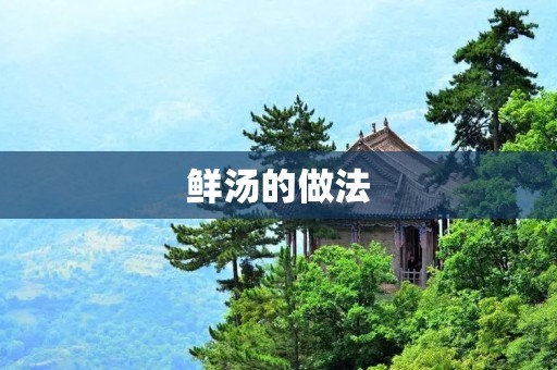 鲜汤的做法:让你品尝到美味与健康的完美结合 鲜汤的做法:让你品尝到美味与健康的完美结合