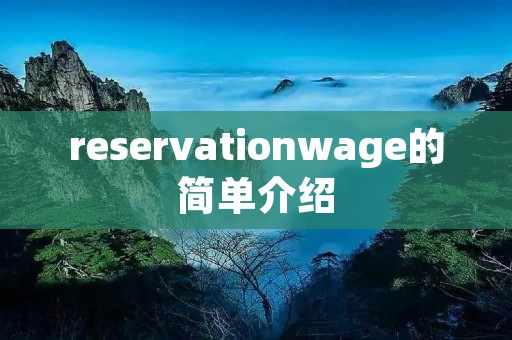 reservationwage的简单介绍