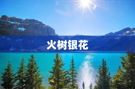 火树银花:描绘盛夏热情的绚丽色彩