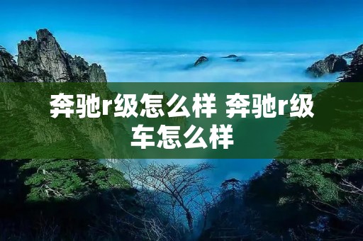 奔驰r级怎么样 奔驰r级车怎么样