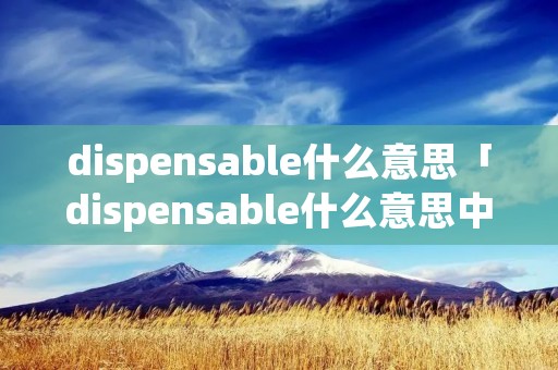 dispensable什么意思「dispensable什么意思中文翻译」